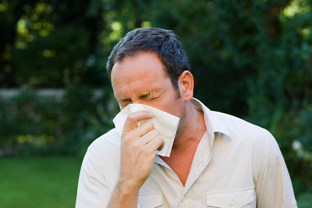 Аллергический ринит (сенная лихорадка)